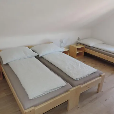 Apartman Tomas 別荘 *